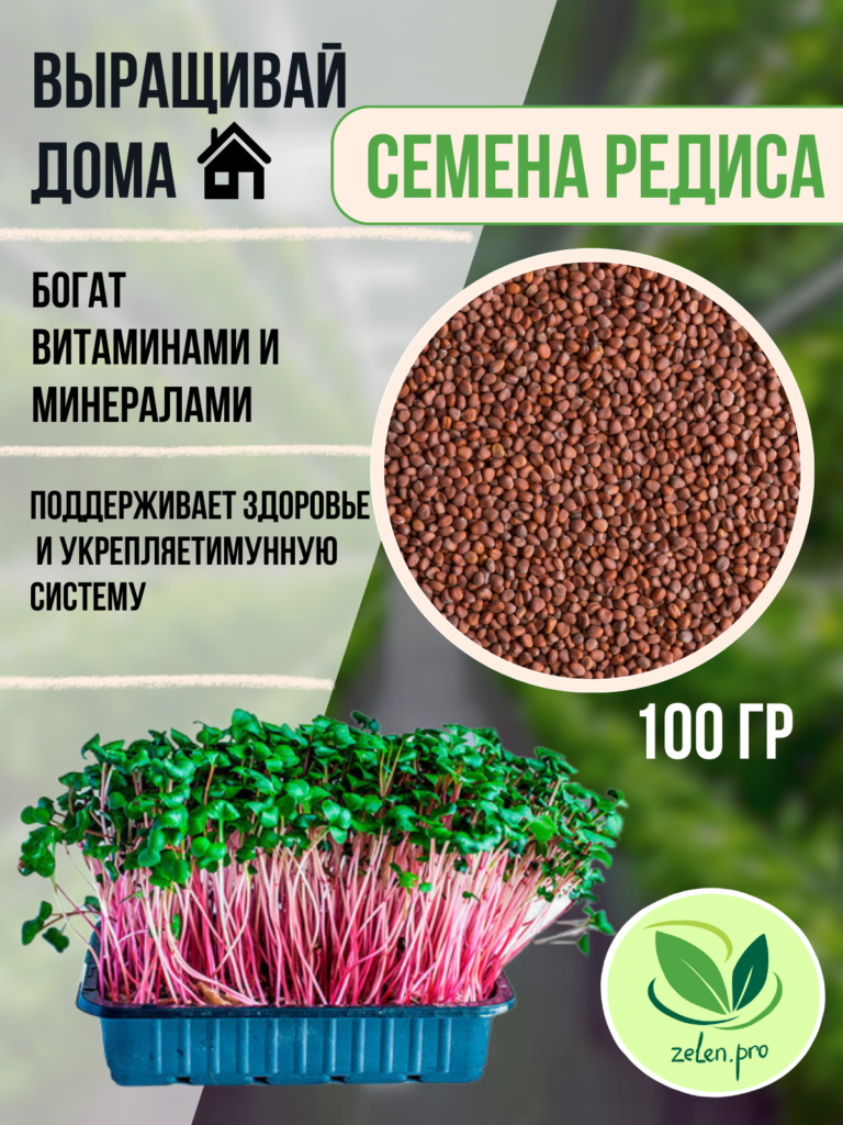 Семена микрозелени редиса Red Coral - Микрозелень в Уфе -Zelen.PRO